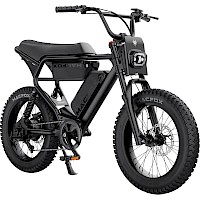X2 Dual
